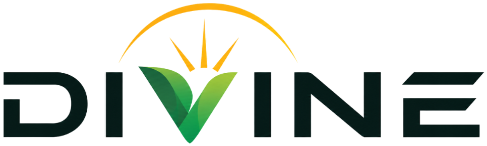 Divine Solutions Logo