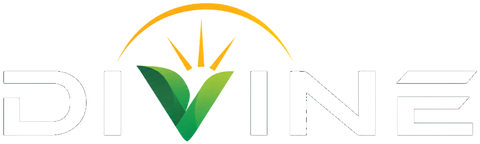 Divine Solutions Logo